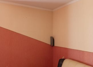 Сдача в аренду 2-комнатной квартиры, 77 м2, Екатеринбург, Аптекарская улица, 43, Чкаловский район