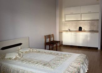 Продается квартира студия, 23 м2, Санкт-Петербург, улица Адмирала Черокова, 20, ЖК Море