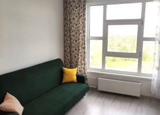 Продаю квартиру студию, 23.5 м2, Мурино, улица Шоссе в Лаврики, 67, ЖК Муринское-1