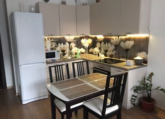 Квартира на продажу студия, 25 м2, Санкт-Петербург, проспект Энергетиков, 11к2, ЖК Зималето