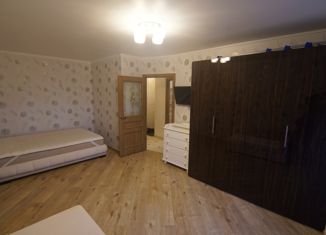 Сдаю в аренду 1-ком. квартиру, 30 м2, Пушкин, Школьная улица, 57