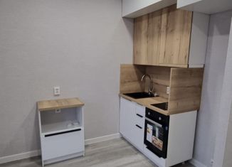 Продажа квартиры студии, 23.8 м2, Барнаул, Павловский тракт, 307к5, ЖК Nord