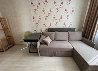 Продается квартира студия, 22 м2, Пермский край, улица Плеханова, 62