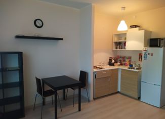 Продаю квартиру студию, 24.2 м2, Санкт-Петербург, Республиканская улица, 24к1, Республиканская улица