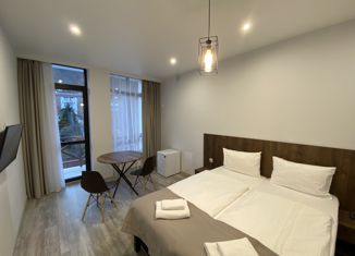 Сдается квартира студия, 32.5 м2, село Эсто-Садок, село Эсто-Садок, 16