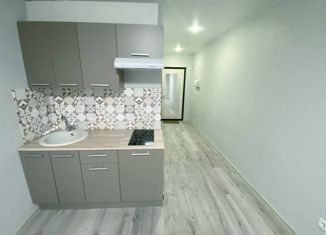 Продам квартиру студию, 23.8 м2, Мурино, улица Шоссе в Лаврики, 67, ЖК Муринское-1