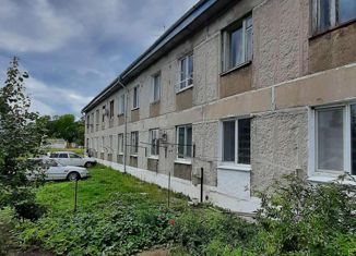 1-комнатная квартира на продажу, 24 м2, село Корсаковка, Комсомольская улица, 22