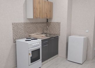 Сдача в аренду квартиры студии, 26 м2, Ломоносов, Михайловская улица, 51