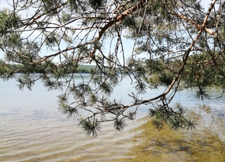 Продаю земельный участок, 8 сот., деревня Восточное Кончезеро