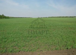 Продам земельный участок, 11 сот., СНТ Коммунальник