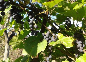 Продается дом, 34 м2, Уссурийск, СТ Кожевник, 63