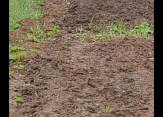 Продам земельный участок, 1000 сот., село Брод, Центральная улица