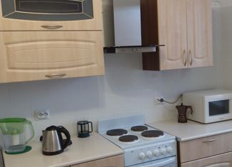 Двухкомнатная квартира на продажу, 64 м2, Санкт-Петербург, Парашютная улица, 56к3, ЖК Каменка