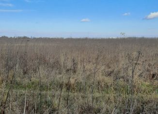 Земельный участок на продажу, 15 сот., деревня Протопоповка, Кооперативная улица