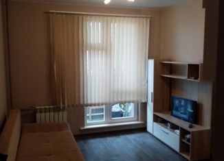 Квартира в аренду студия, 25 м2, Новосибирск, Ленинский район, улица Забалуева, 90
