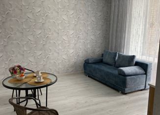 Продаю квартиру студию, 27 м2, деревня Кисловка, улица Левитана, 5