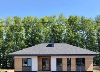 Продаю дом, 120 м2, деревня Начапкино