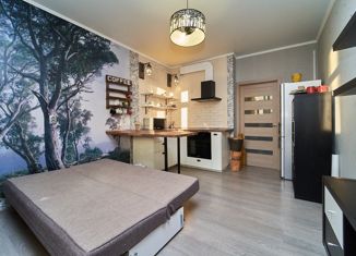 Продаю квартиру студию, 26 м2, Краснодар, улица им. Героя Сарабеева В.И., 3, ЖК Керченский