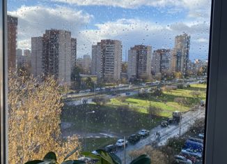 Продам 3-ком. квартиру, 63.4 м2, Санкт-Петербург, проспект Испытателей, 11к1, проспект Испытателей