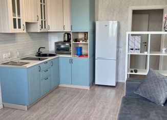 Продажа квартиры студии, 27 м2, Краснодар, улица Героя А.А. Аверкиева, 15, улица Героя А.А. Аверкиева