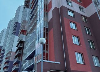 Продается квартира студия, 25 м2, Санкт-Петербург, проспект Энергетиков, 9к3, метро Ладожская