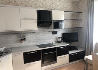 Продается 2-ком. квартира, 60.7 м2, Мурино, ЖК Тридевяткино Царство, улица Шоссе в Лаврики, 85