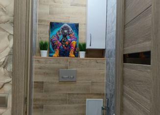 Продажа двухкомнатной квартиры, 58 м2, село Бижбуляк, Центральная улица, 8