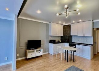 Продажа 1-комнатной квартиры, 28.4 м2, Краснодар, улица Цезаря Куникова, 24к1, ЖК Времена Года 3