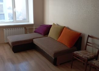 Продается однокомнатная квартира, 29.5 м2, Екатеринбург, Коллективный переулок, 15, Коллективный переулок