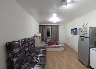 Продажа однокомнатной квартиры, 25 м2, Пермь, Хабаровская улица, 173, Дзержинский район