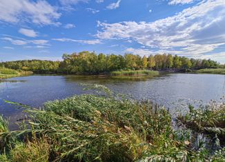 Продажа дома, 52 м2, поселок Синий Бор, улица Мира, 22