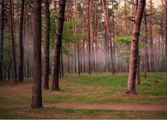 Земельный участок на продажу, 290 сот., Екатеринбург, Полевской тракт, 23-й километр