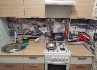 Продам 1-комнатную квартиру, 30.2 м2, Санкт-Петербург, проспект Александровской Фермы, 5, метро Пролетарская