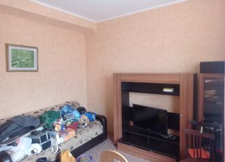 Продаю 2-комнатную квартиру, 41.5 м2, Партизанск, улица Чкалова, 2А