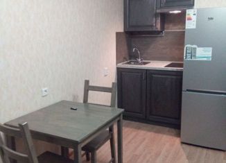 Сдается в аренду квартира студия, 24 м2, Мурино, проспект Авиаторов Балтики, 15, ЖК Охтинская Дуга