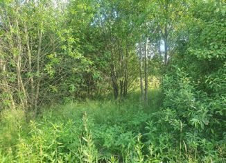 Продаю земельный участок, 22 сот., деревня Бабеево, деревня Бабеево, 45