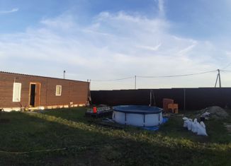 Продам дом, 30 м2, деревня Азьмушкино, Липовая улица, 47