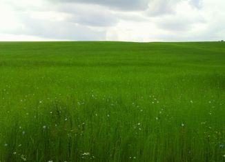 Продам земельный участок, 10 сот., СПК Солонцы