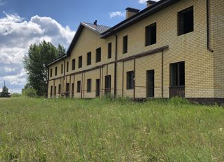 Продаю дом, 174 м2, село Дружино, Рябиновая улица, 9А