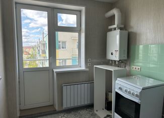 1-комнатная квартира на продажу, 28.9 м2, сельский посёлок Новинки, ЖК Окский Берег, Высокая улица, 7к1