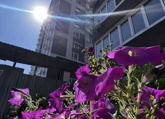 Однокомнатная квартира на продажу, 45.9 м2, Находка, Спортивная улица, 32