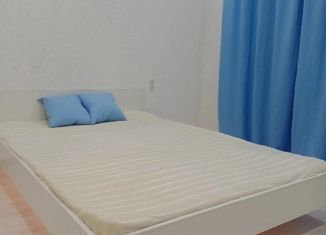 Продажа 1-комнатной квартиры, 30 м2, Мурино, Екатерининская улица, 8к2, ЖК Три кита