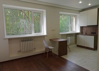 Продаю квартиру студию, 21 м2, Красное Село, Стрельнинское шоссе, 3А