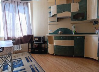 1-комнатная квартира на продажу, 45 м2, Нижегородская область, улица Обухова, 6