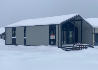 Продаю дом, 90 м2, деревня Петрово, улица Мира, 1