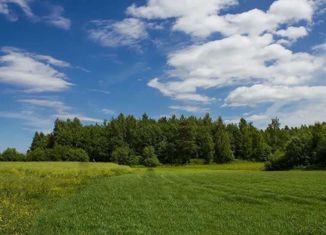 Продаю участок, 30 сот., деревня Чертёж, Раздольная улица