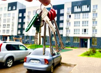 Продается 1-ком. квартира, 33.3 м2, деревня Ветошниково, улица Ивана Спатара, 20