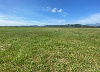 Продам земельный участок, 150 сот., село Новицкое, Южная улица, 21