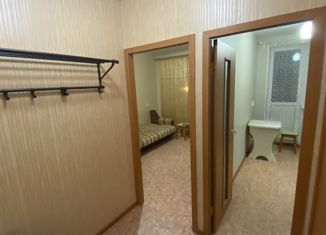 Продам 1-ком. квартиру, 30 м2, посёлок Новинки, Ботаническая улица, 10