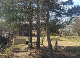 Продажа участка, 6 сот., садоводческое некоммерческое товарищество Берёзка, Главная улица